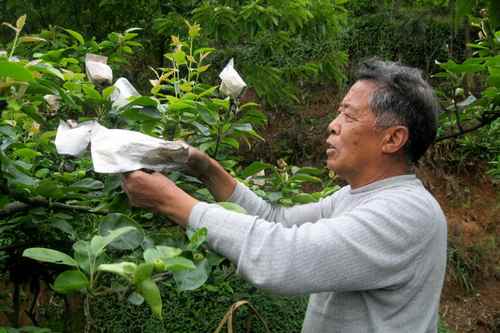 ����˫���ؾ���������԰���״�æ