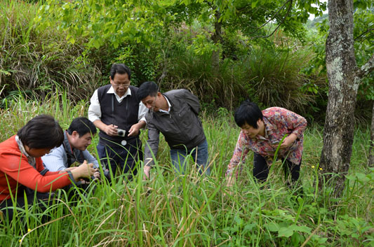 ����ʡ��ר�ҵ�������ҩ�ĺ�����ָ��