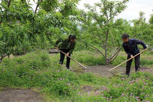 ����������̽����̬��ֲ �̷ʰ����԰