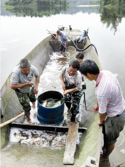 �Ĵ��˱�����ɽ��չ��Ķ��ɫˮ����ֳ