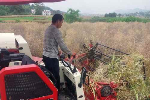 ����˫���ػ�е������ũҵ�ִ���