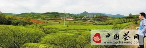 �㽭���ݲ�ҶͳһƷ��ս���߳������۲衱��Ȧ