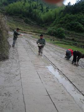 ����̩��÷�ڣ�������ʳ���¼���ʾ��Ƭ