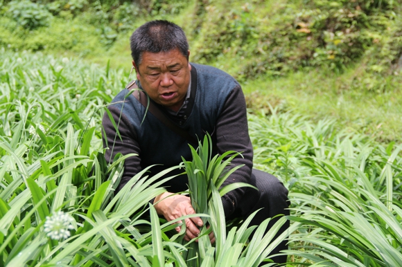 �����Ž����߳����� ������ں����ʾ²˸�300��5