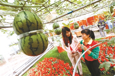 �����������ϼ�5��28�տ�Ļ