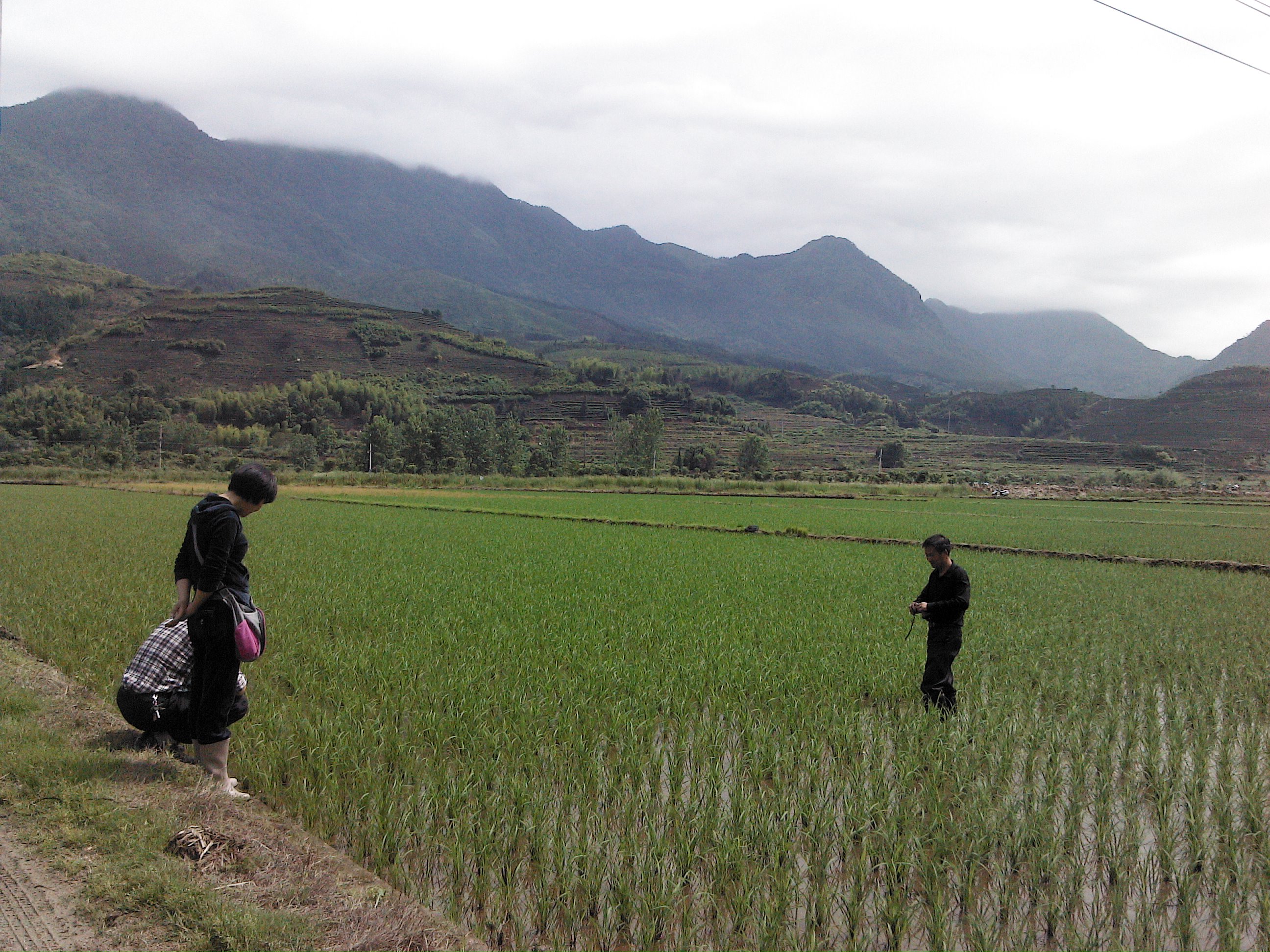 ������Ϫ��ȫ�̻�е��ʾ����ˮ�����糤��ϲ��