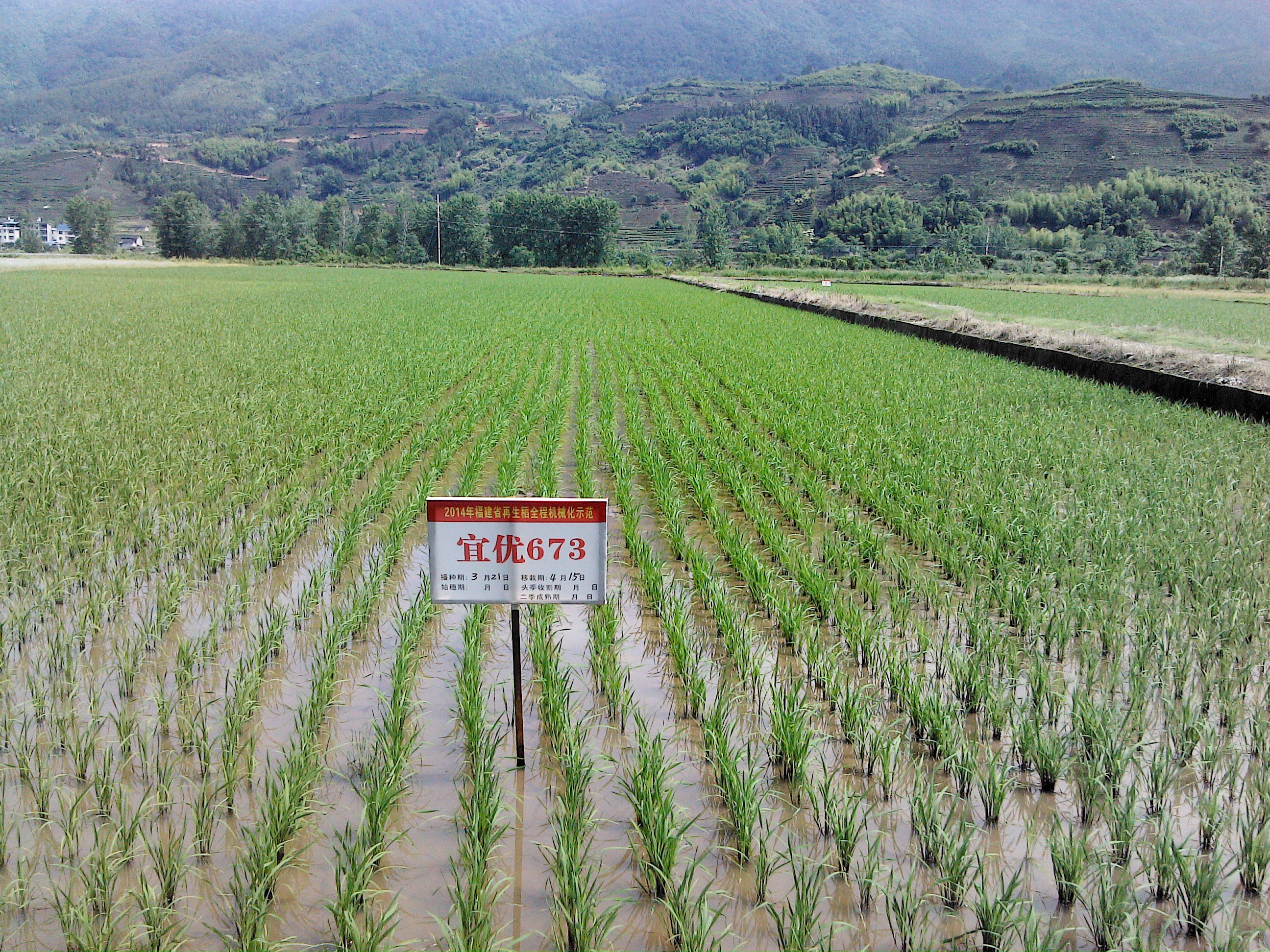 ������Ϫ��ȫ�̻�е��ʾ����ˮ�����糤��ϲ��2