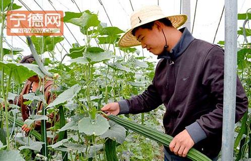 ������Ϫ���������߲�����ʾ�����ظ߲�