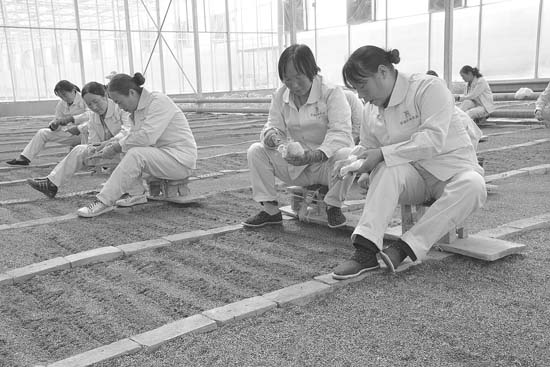 ����μԴ�ؽ�һ���ƶ���������ҵת������