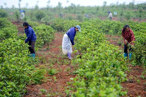 ϲ������ũ�����ء���ת������