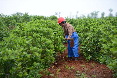 �ֵ���ת����Ϫ������������Լҿ���������ɽ���񹤡���4��24���㣩