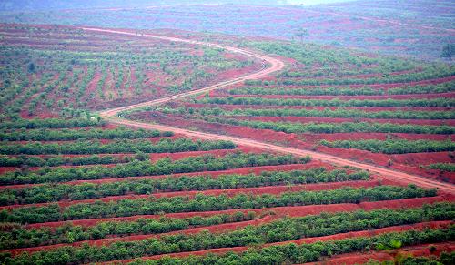 �ֵ���ת����Ϫ����լ��800Ķ������������ҩ�Ļ����ӡ����������������Ͳ�����4��24���㣩��