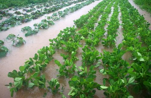 �����质��ǿ����Ϯ��