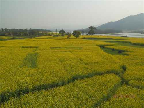 ���Ϻⶫ��38��Ķ�Ͳ�ϲ�����