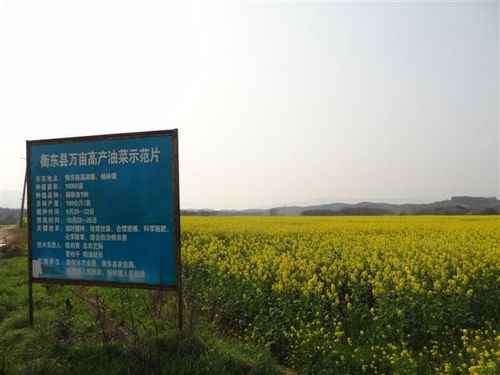 ���Ϻⶫ��38��Ķ�Ͳ�ϲ�����2