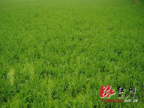 �������������F���絾���糤��ϲ�ˡ��̺�������