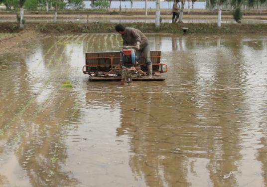 ����������ͨ���ų���ˮ������������ȫ��չ��