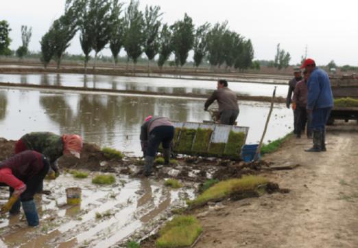 ����������ͨ���ų���ˮ������������ȫ��չ��2