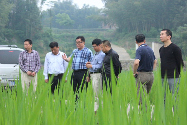 �㽭�Ͱ��ظ�ɽ���ײ�ҵ������Ի�