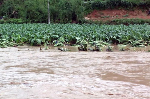 ��������ǿ������18�������� ũ���ׯ����