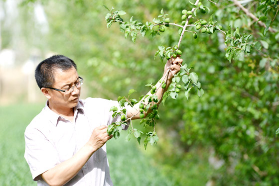 �½���̨��С���ӷ������� ����С���ӽ��ڱ�����Ѯ��������