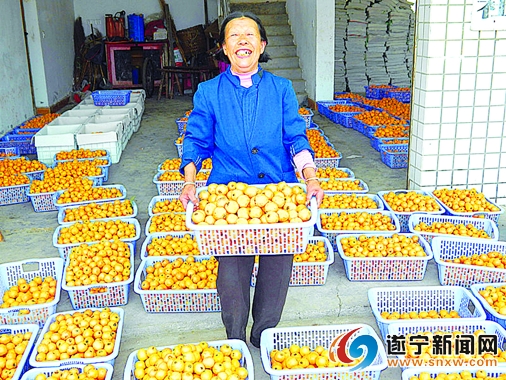 �Ĵ�������Ϫ����¡����������