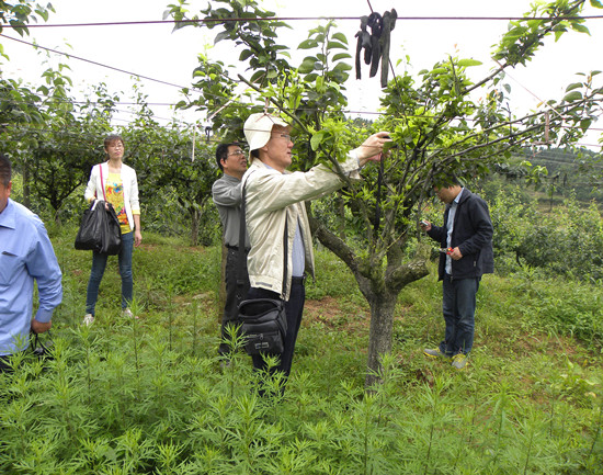 �������ҵ��ϵ��λר�ҵ���������ָ��