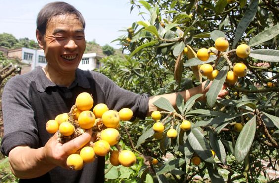 �Ĵ��˱�������ˮ����������Ч��