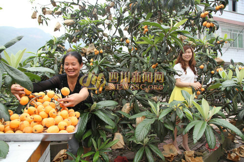 �Ĵ�������Ϫ���������˷���������