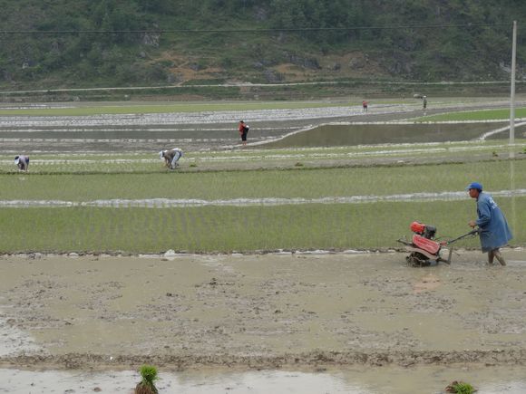 ���Ϲ���������������ƹ�ˮ��ũĤ������ˮ���ʼ���