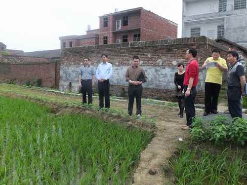 ���Ϻ������쵼����������ָ����ʳ��������