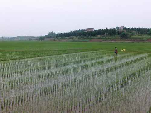 ���Ϻ������쵼����������ָ����ʳ��������2