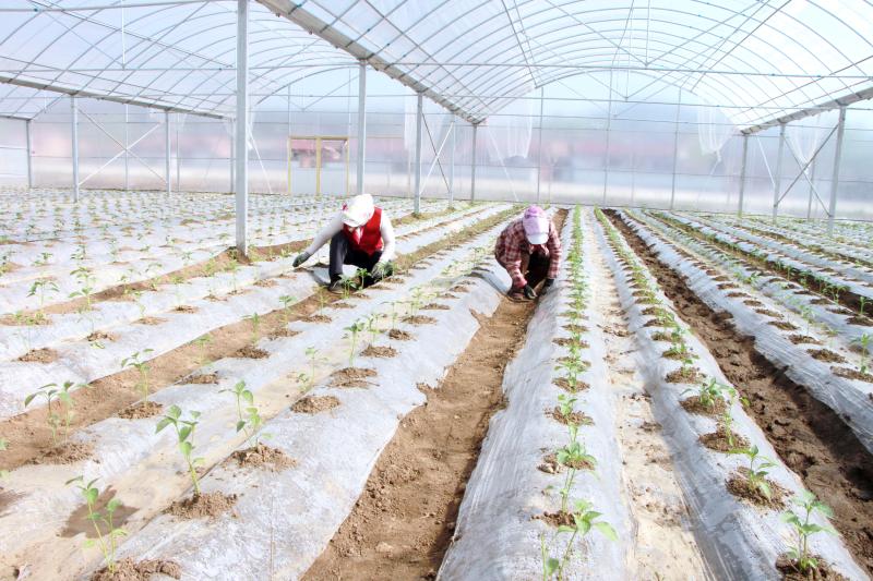 ���໪ͤ��ʩ�߲����չ