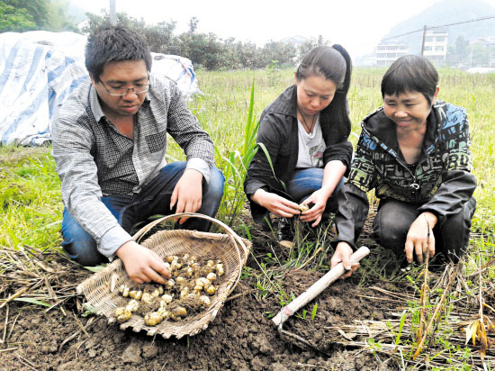 �㽭̨�ݣ���ҩ���г�ǰ���ֹ� ҩũ��ҩ��������