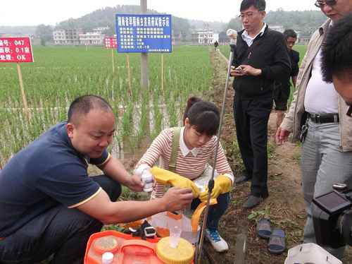 ����������ũҵ�ֻ�����չ����ʡ�絾��Ҫ���溦��ҩ����