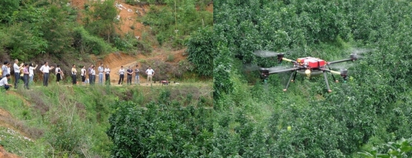 ���������״ξ���ũ����������ֱ������԰��ҩ��ʾ