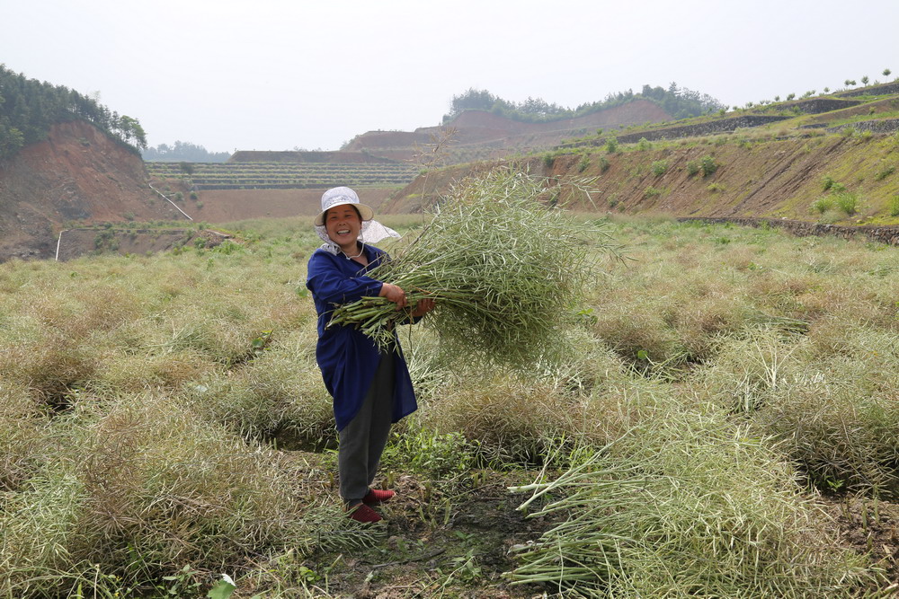 �㽭�ٰ�����԰�����Ͳ� ��Ч������