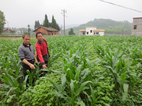 ͼΪ�����ũҵ�ּ�����Աָ����������