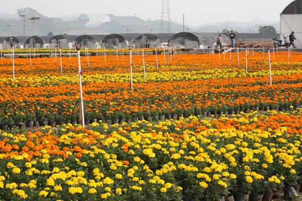 ���ݣ�װ���ˮ���ܲ�ҵ ����ũ������2