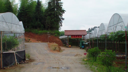 ����̩����ƺ��ͥũ������̬ũҵ�۹�԰