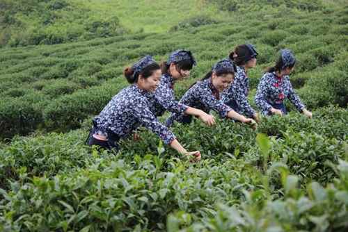 ���������Ժ��ɽ�������衱���迪��