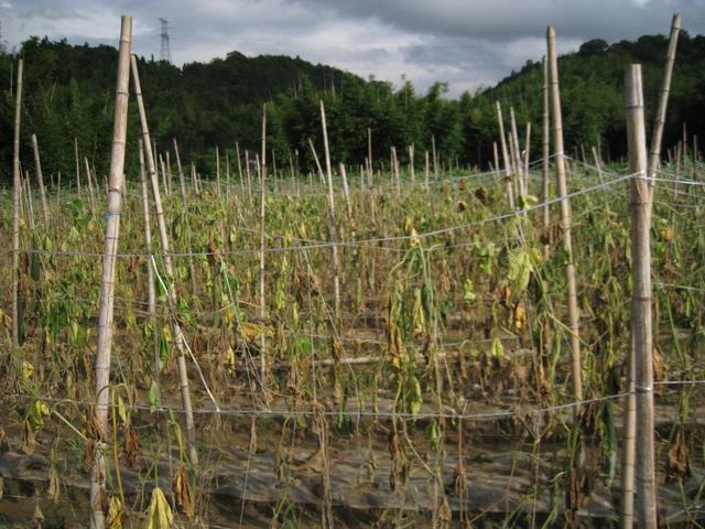 ������������Ԫ����ɽ���߲˻��غ����������