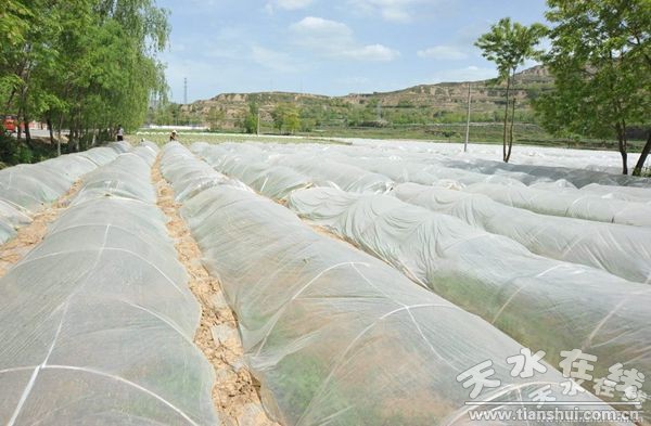 ������ˮ��ȫ�������԰���Ϊ������ҩ�Ĳ�ҵ