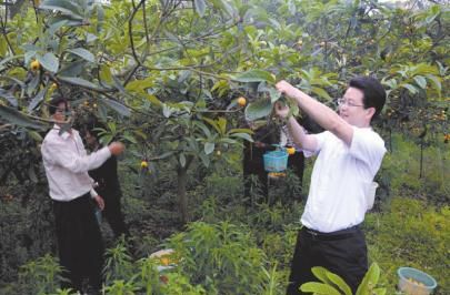 ˮ�������� �Ĵ���¤���˽�ʣ50���