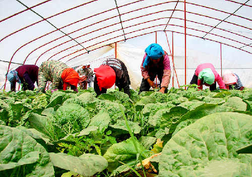 ����������Ѽů�����޲�ϲ�����