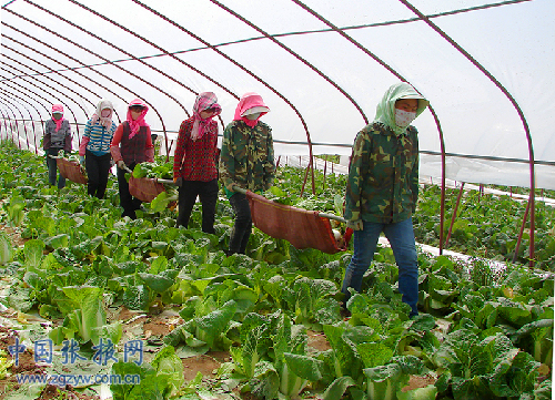 ����������Ѽů�����޲�ϲ�����2