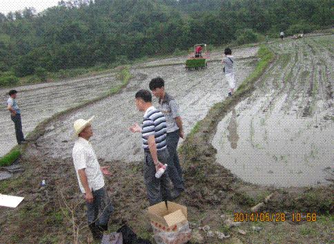 ����ʡũҵ��ר������ָ��ˮ�����弼��