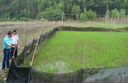 ������������Ԫ��������ˮ�������䷽ʩ��ʾ��Ƭ