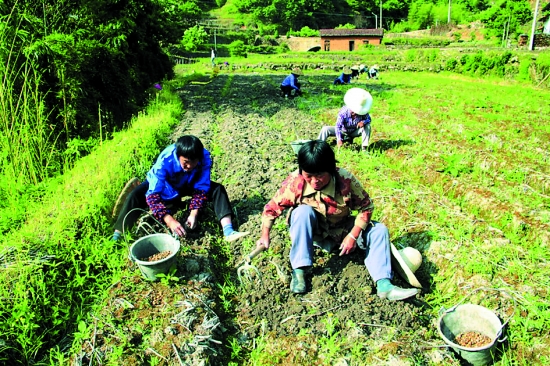 �㽭�����У���ͥũ��ȫ��������ҩ����