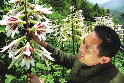 �������������ָ�ɽҰ����ٺϻ�óɹ�